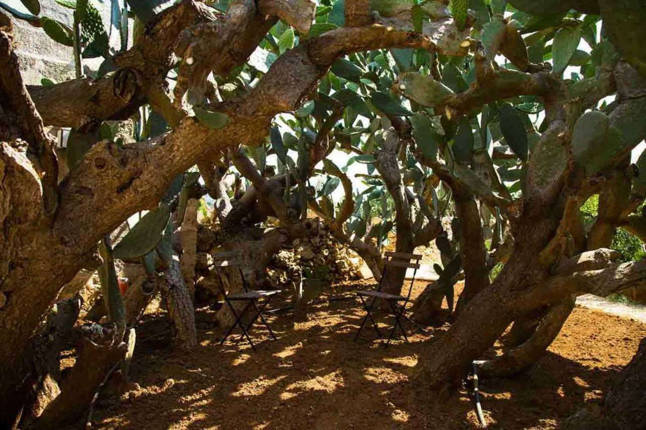 Masseria Celano Grottaglie Buitenkant foto